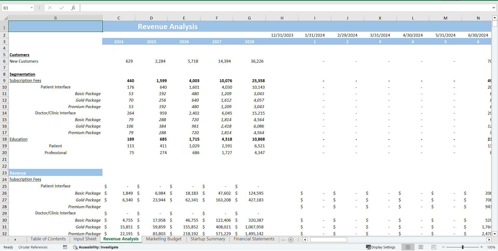 Digital Medical Assistant Excel Financial Model (Excel template (XLSX)) Preview Image