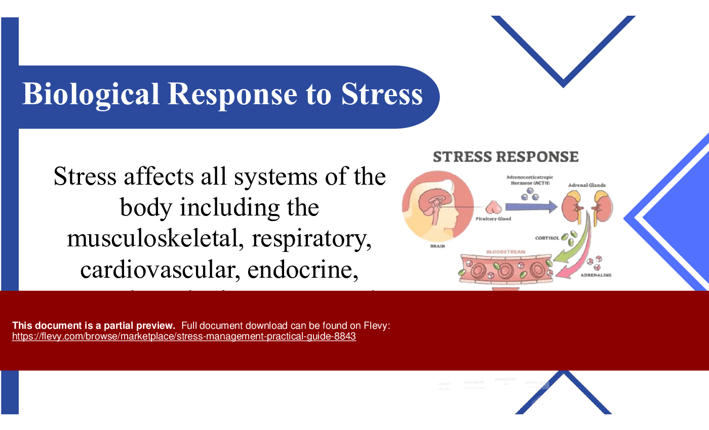 Stress Management Practical Guide (25-slide PPT PowerPoint presentation (PPTX)) Preview Image