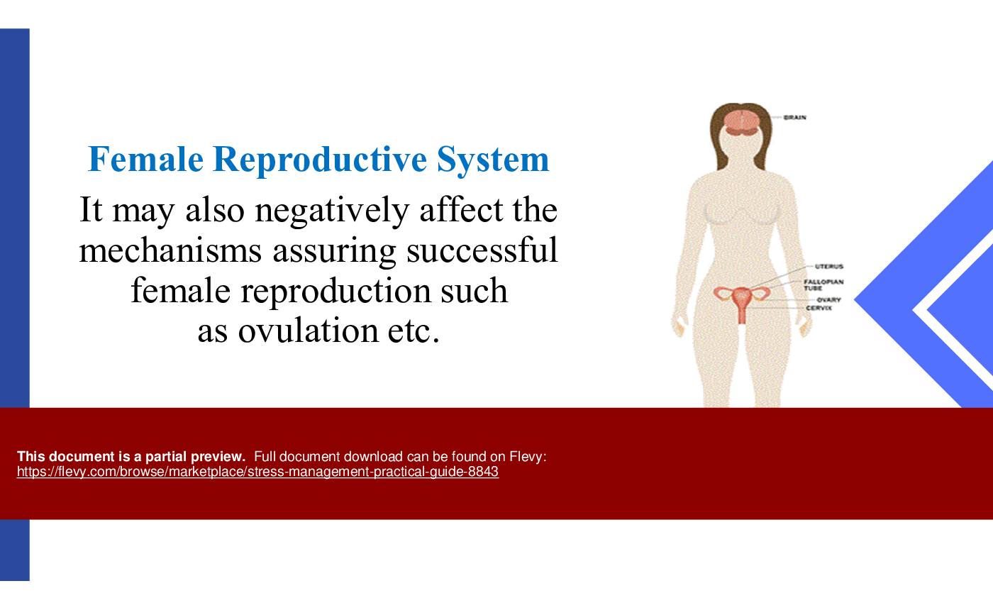 Stress Management Practical Guide (25-slide PPT PowerPoint presentation (PPTX)) Preview Image