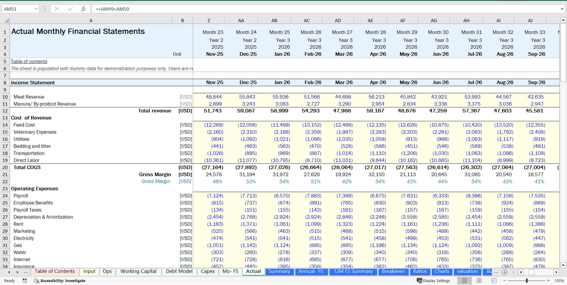 Broiler Poultry Financial Model (Excel template (XLSX)) Preview Image