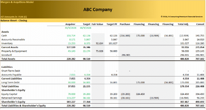 Mergers & Acquisitions (M&A) Model (Excel template (XLSX)) Preview Image