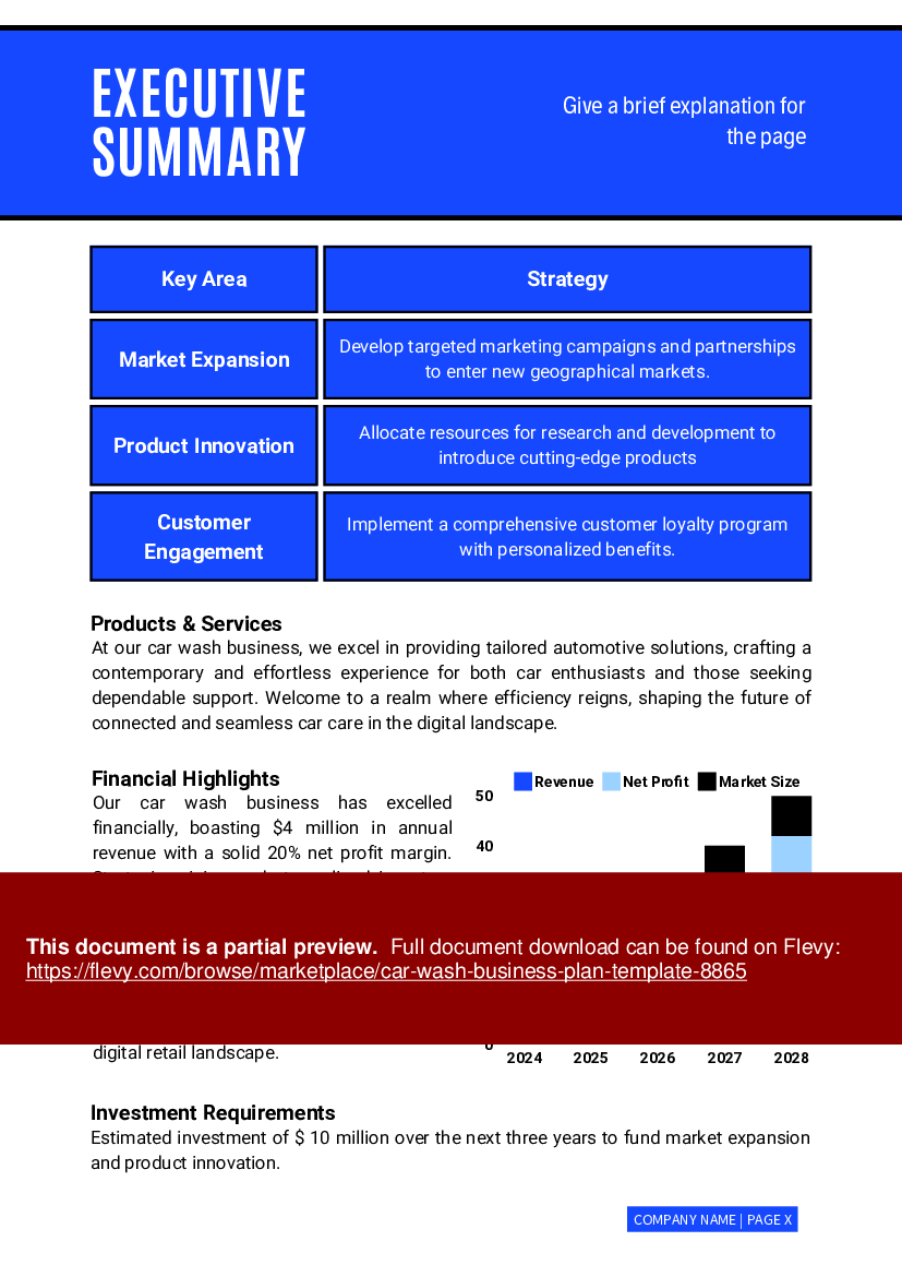 Car Wash Business Plan Template (43-page PDF document) Preview Image