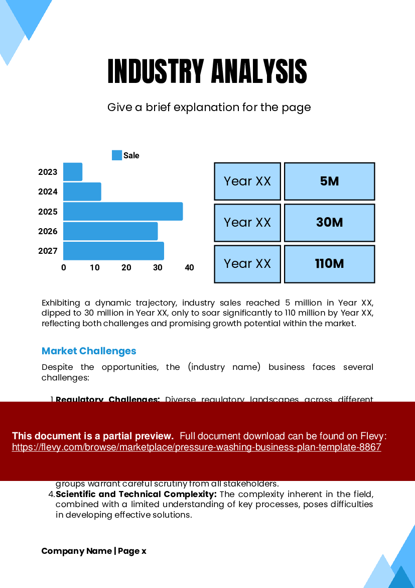 Pressure Washing Business Plan Template (38-page PDF document) Preview Image