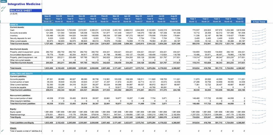 Integrative Medicine & Health Clinics Chain Financial Model (Excel template (XLSX)) Preview Image