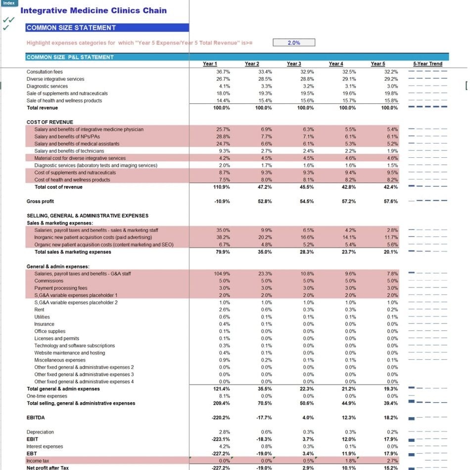 Integrative Medicine & Health Clinics Chain Financial Model (Excel template (XLSX)) Preview Image