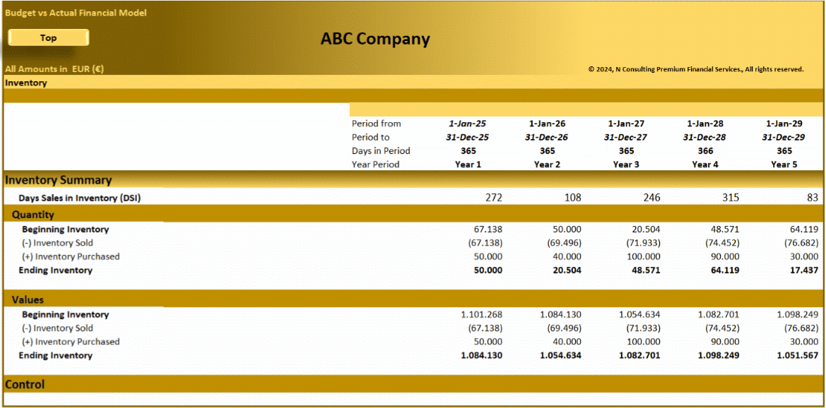 Startup Company (5-Year) Financial Forecast Model (Excel template (XLSX)) Preview Image