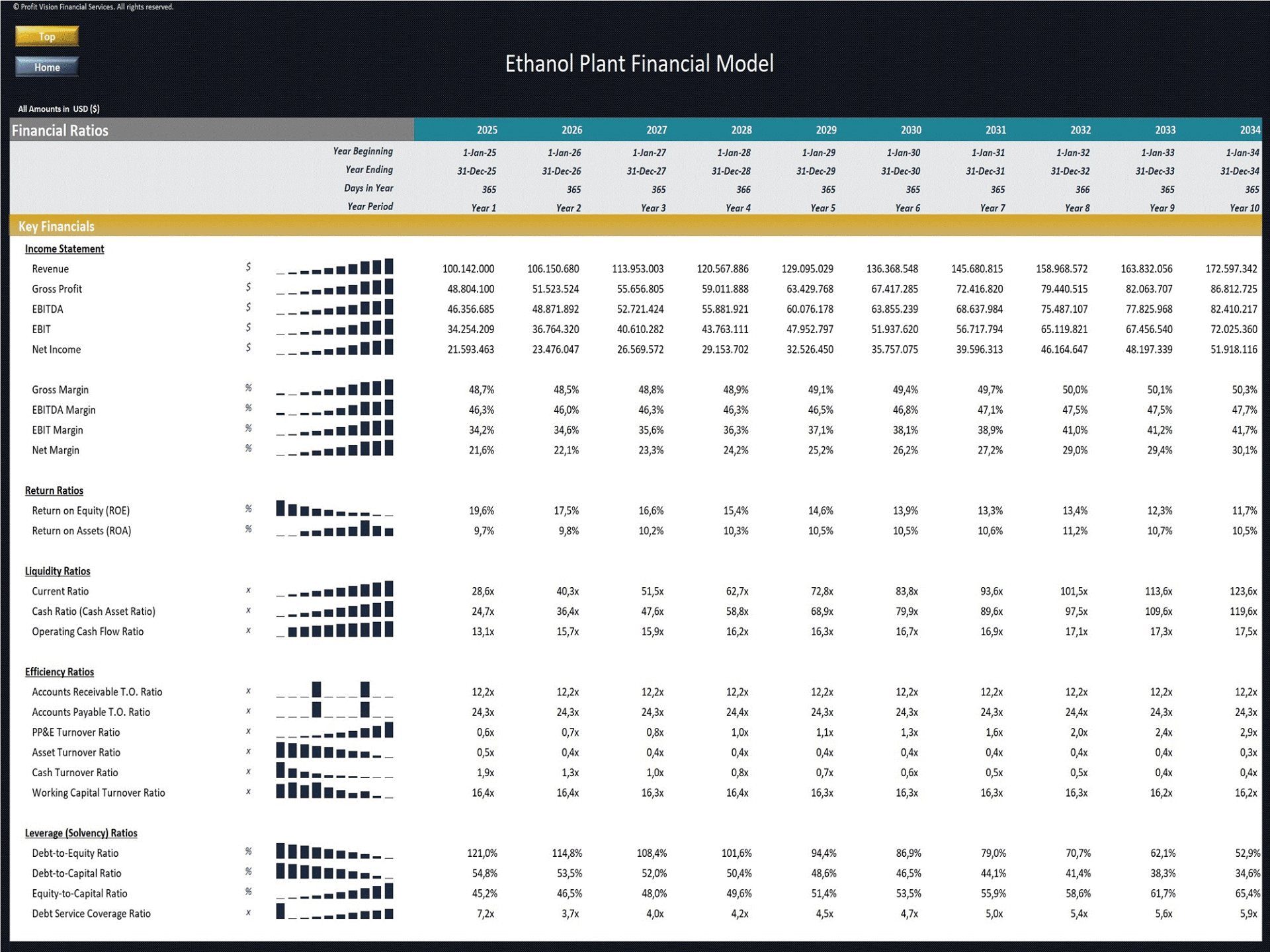 Ethanol Plant - 10 Year Financial Model (Excel template (XLSX)) Preview Image