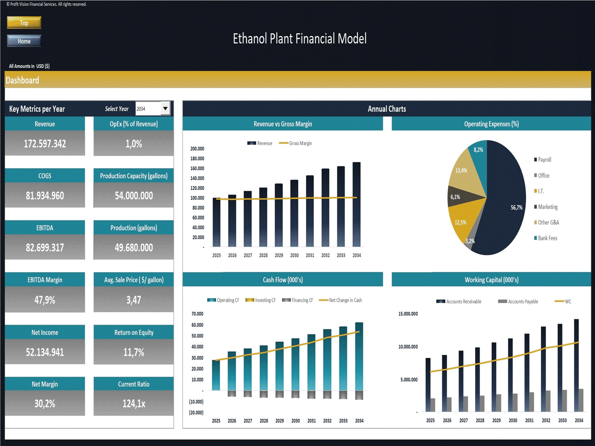 Ethanol Plant - 10 Year Financial Model (Excel template (XLSX)) Preview Image