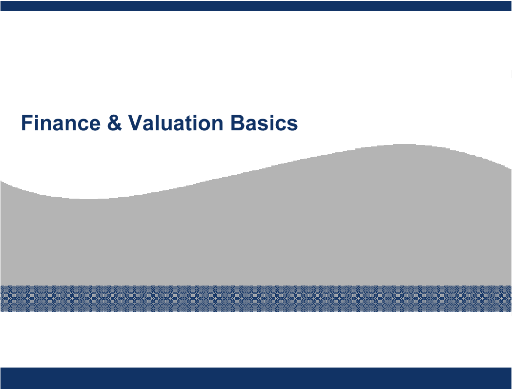 Finance and Valuation Basics