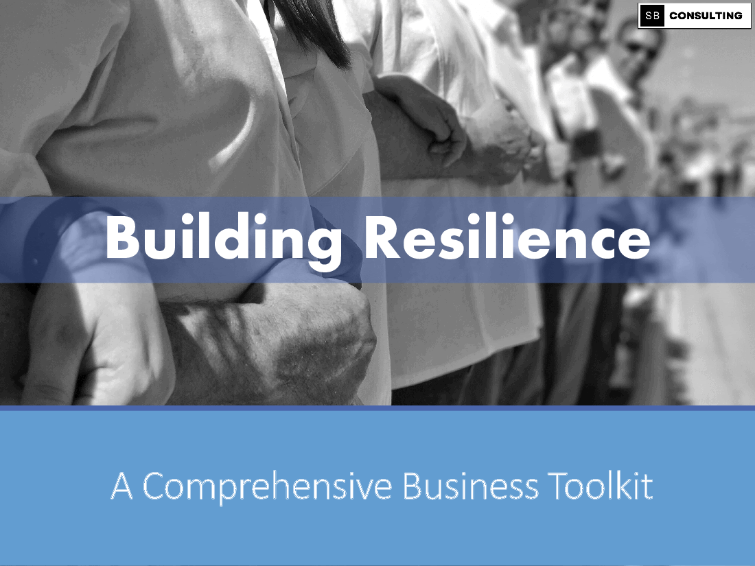 Building Resilience Toolkit (712-slide PPT PowerPoint presentation (PPTX)) Preview Image