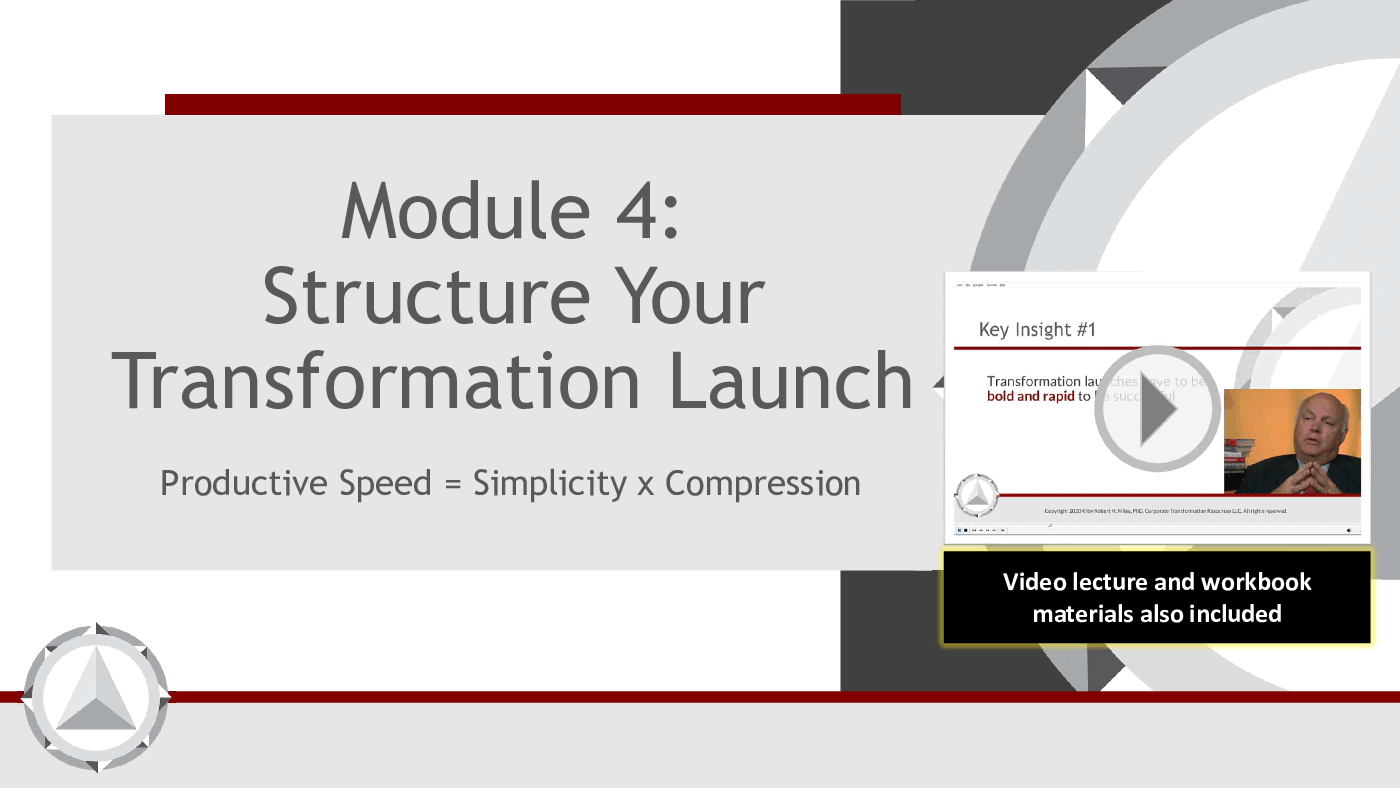 ACT Module 4: Structure Your Transformation Launch (128-slide PPT PowerPoint presentation (PPTX)) Preview Image