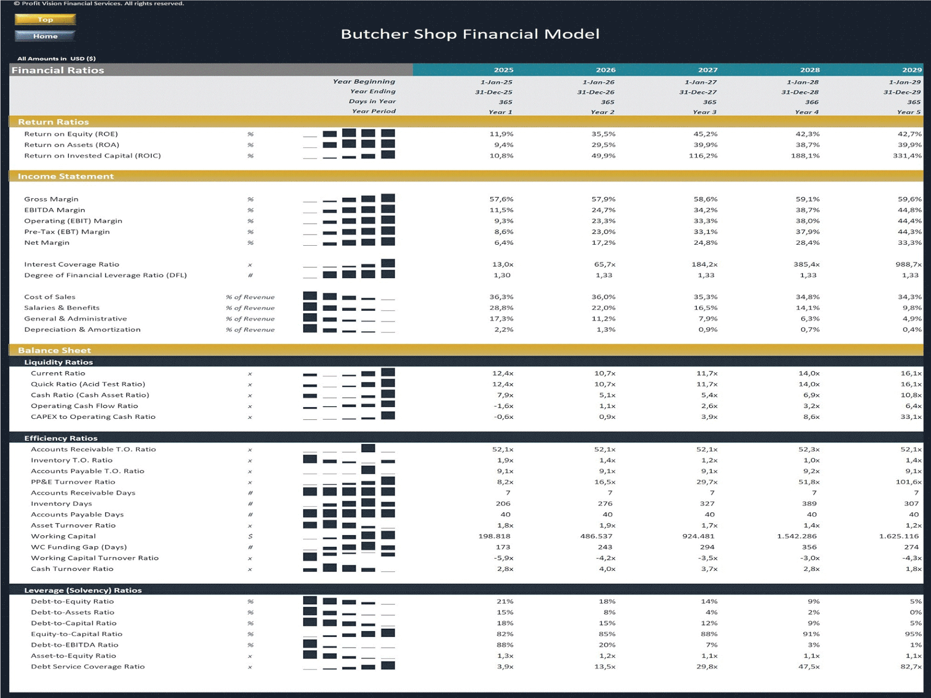 Butcher Shop – 5 Year Financial Model (Excel template (XLSX)) Preview Image