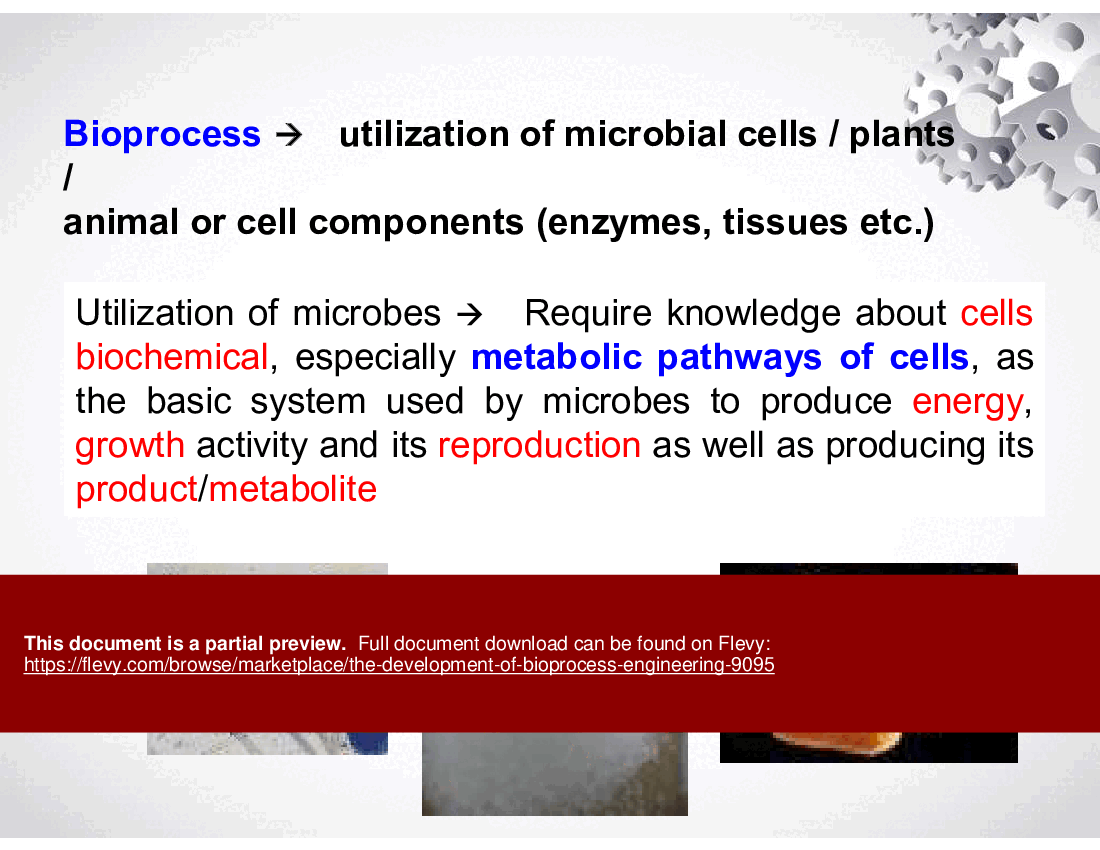 The Development of Bioprocess Engineering (37-slide PPT PowerPoint presentation (PPTX)) Preview Image