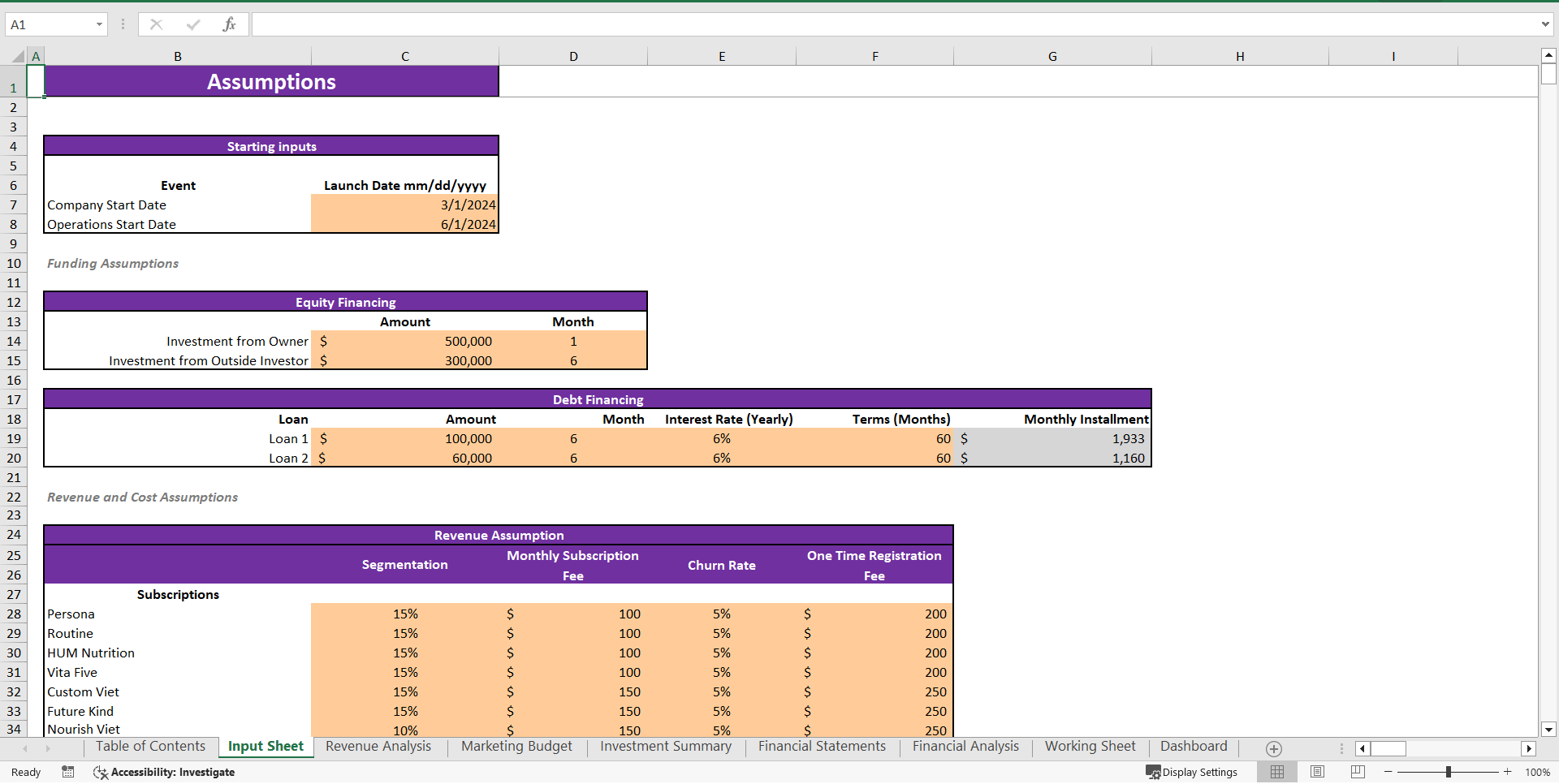 Vitamin Subscription Excel Financial Model Template (Excel template (XLSX)) Preview Image