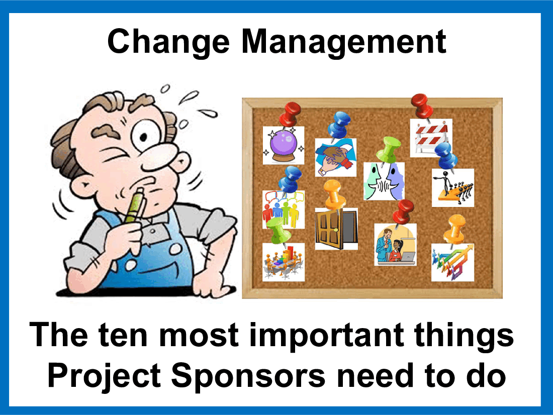 Ten Important Things a Sponsor Needs to Do (12-slide PPT PowerPoint presentation (PPT)) Preview Image