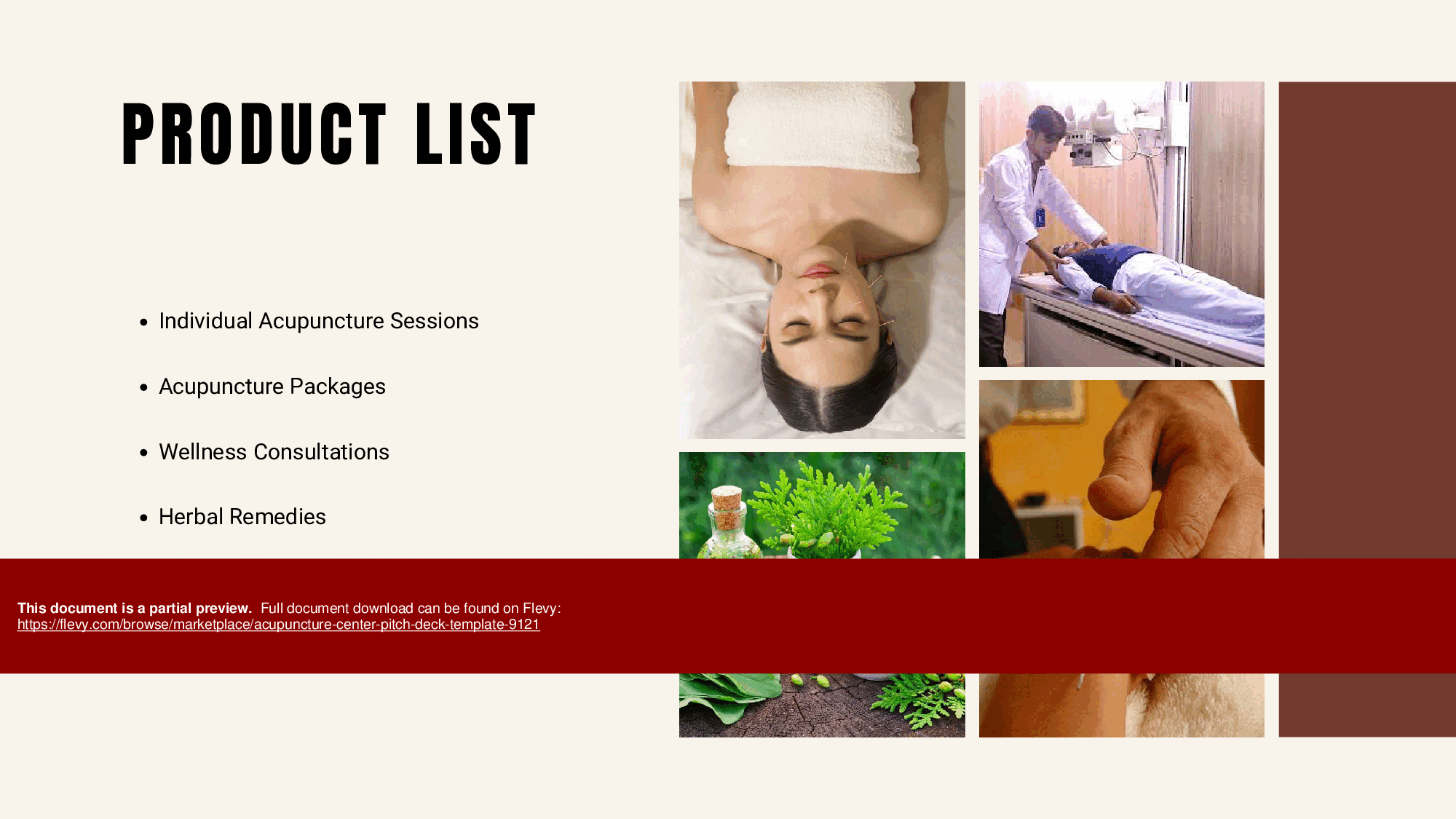 Acupuncture Center Pitch Deck Template (34-page PDF document) Preview Image