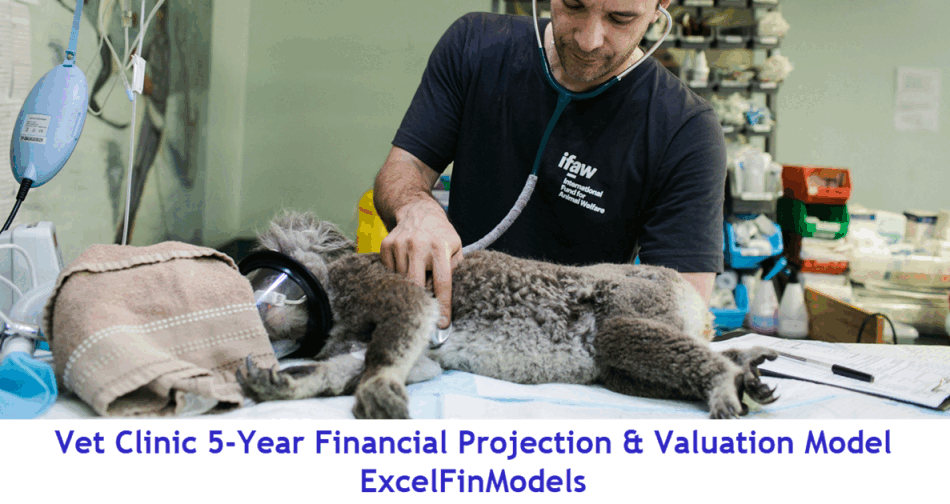 Vet Clinic 5-Year Monthly Financial Projection Model (Excel template (XLSX)) Preview Image