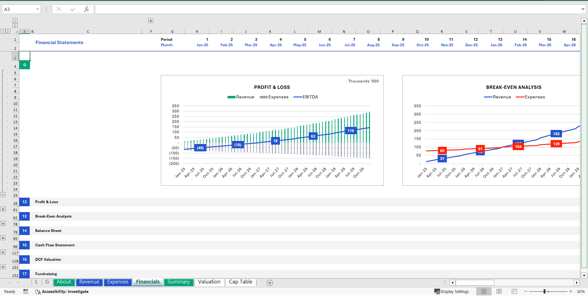 SaaS Financial Model () Preview Image