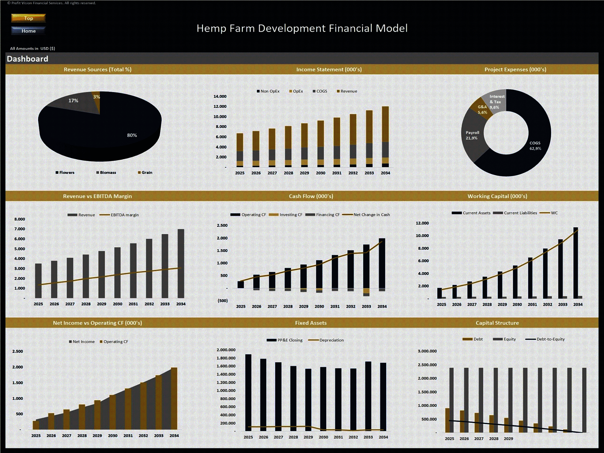 Hemp Farm – 10 Year Financial Model (Excel template (XLSX)) Preview Image