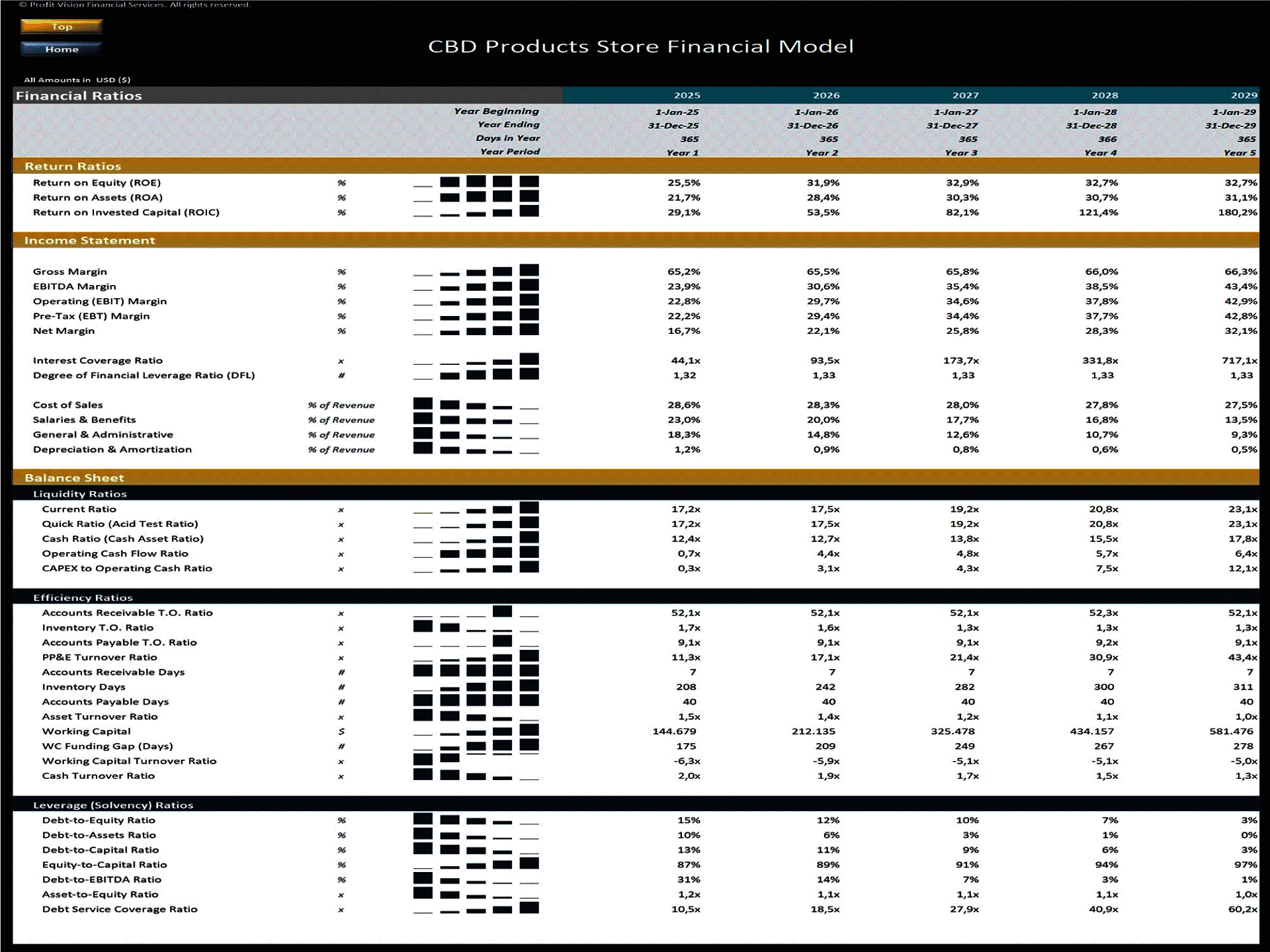 CBD Products Store – 5 Year Financial Model (Excel template (XLSX)) Preview Image