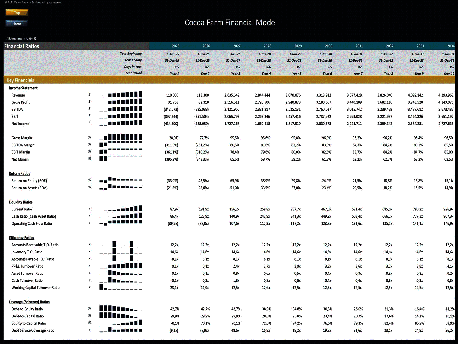 Cocoa Farm – 10 Year Financial Model (Excel template (XLSX)) Preview Image