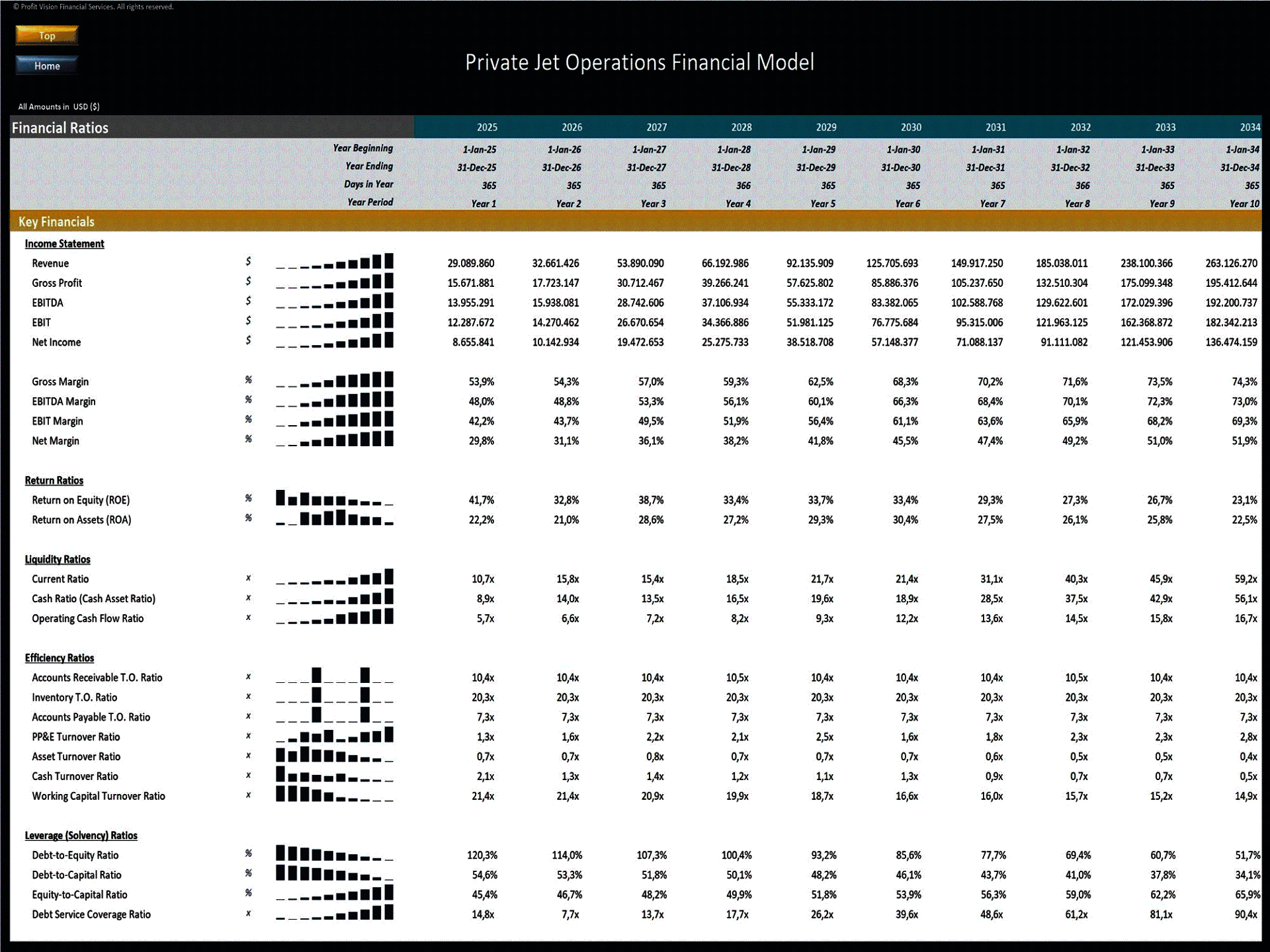 Private Jets Rental Company – 10 Year Financial Model (Excel template (XLSX)) Preview Image