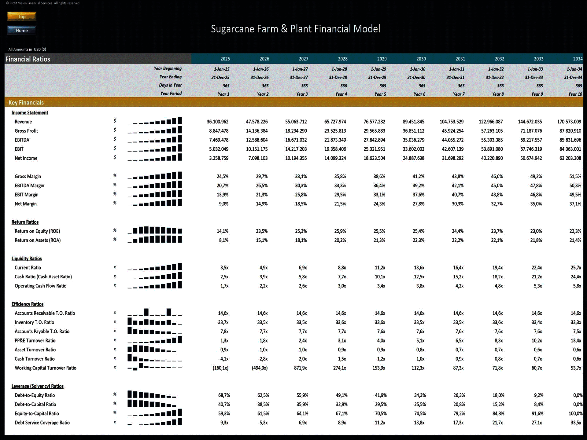 Sugarcane Farm & Processing Facility Financial Model (Excel template (XLSX)) Preview Image