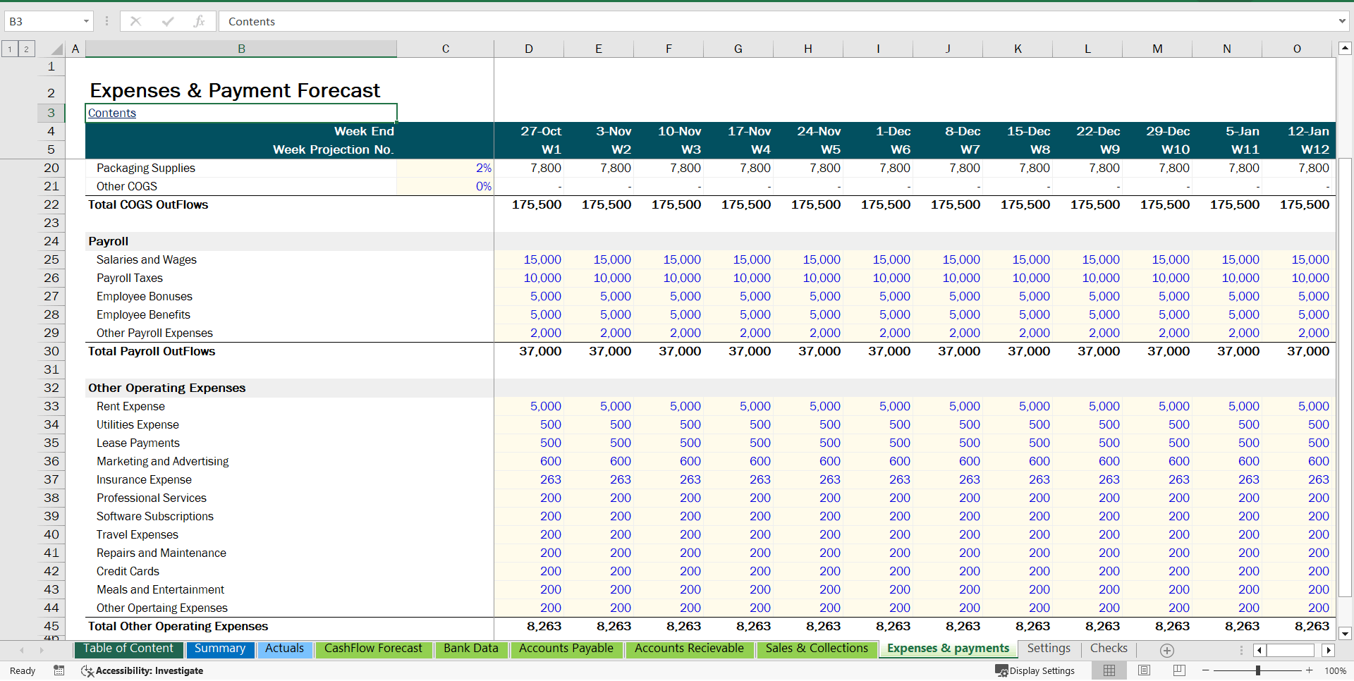 13-Week Cash Flow Forecast Template (Excel template (XLSX)) Preview Image