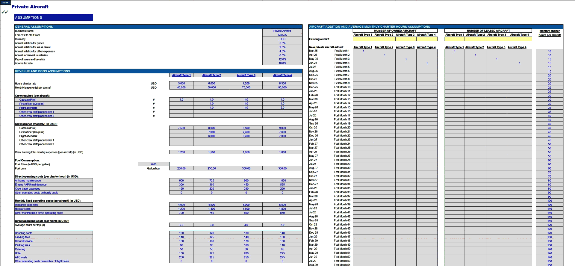 Private Aircraft Charter Business Financial Model (Lite version) (Excel template (XLSX)) Preview Image