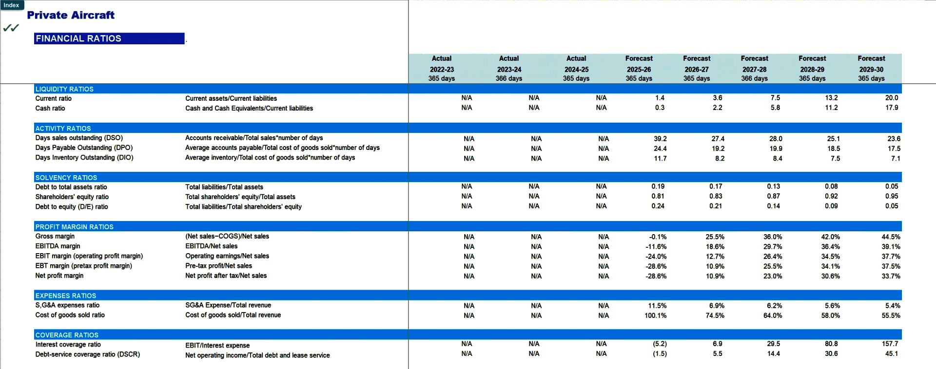 Private Aircraft Charter Business Financial Model (Lite version) (Excel template (XLSX)) Preview Image