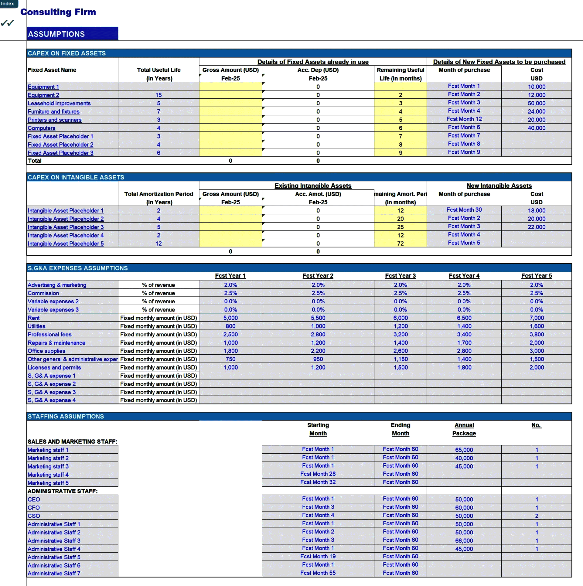 Consulting Firm 5-Year Financial Forecast Model (Pro version) (Excel template (XLSX)) Preview Image