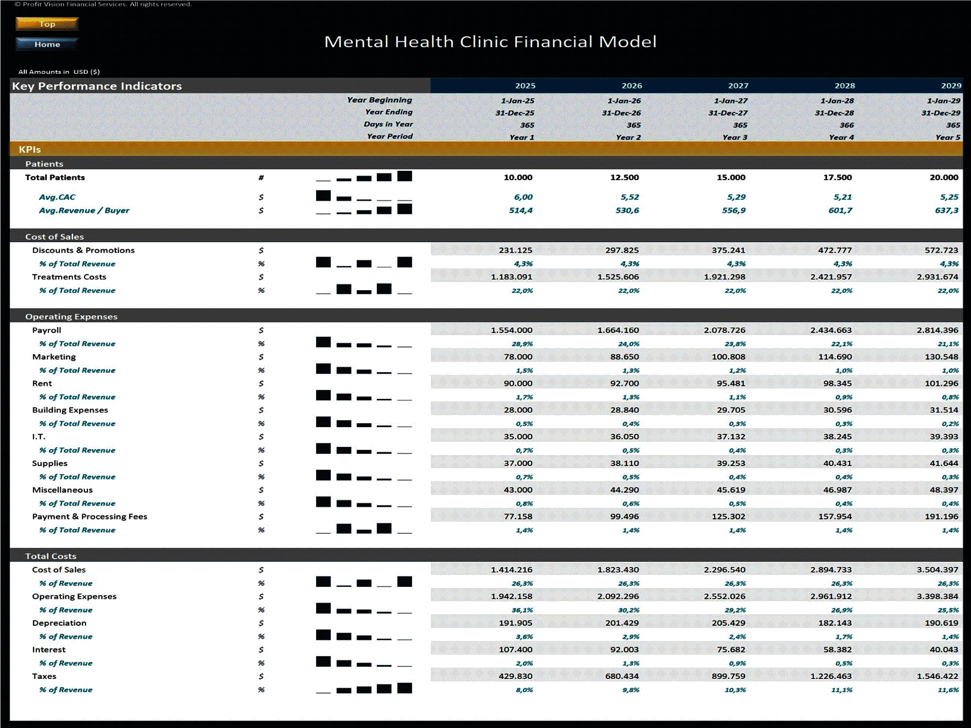 Mental Health Clinic – 5 Year Financial Model (Excel template (XLSX)) Preview Image