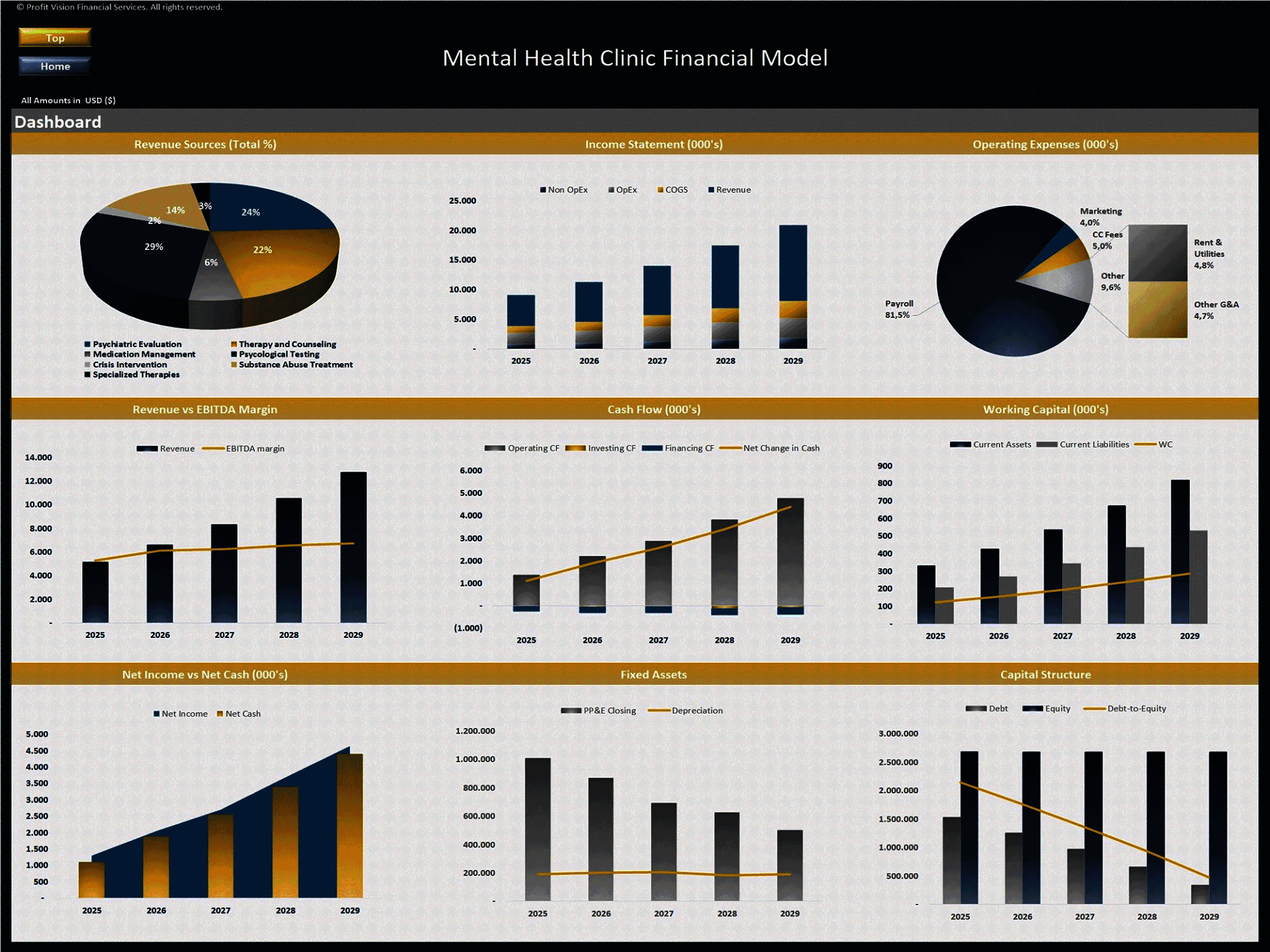 Mental Health Clinic – 5 Year Financial Model (Excel template (XLSX)) Preview Image