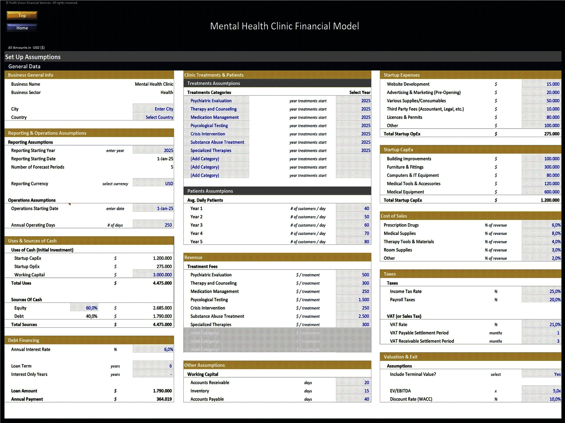 Mental Health Clinic – 5 Year Financial Model (Excel template (XLSX)) Preview Image