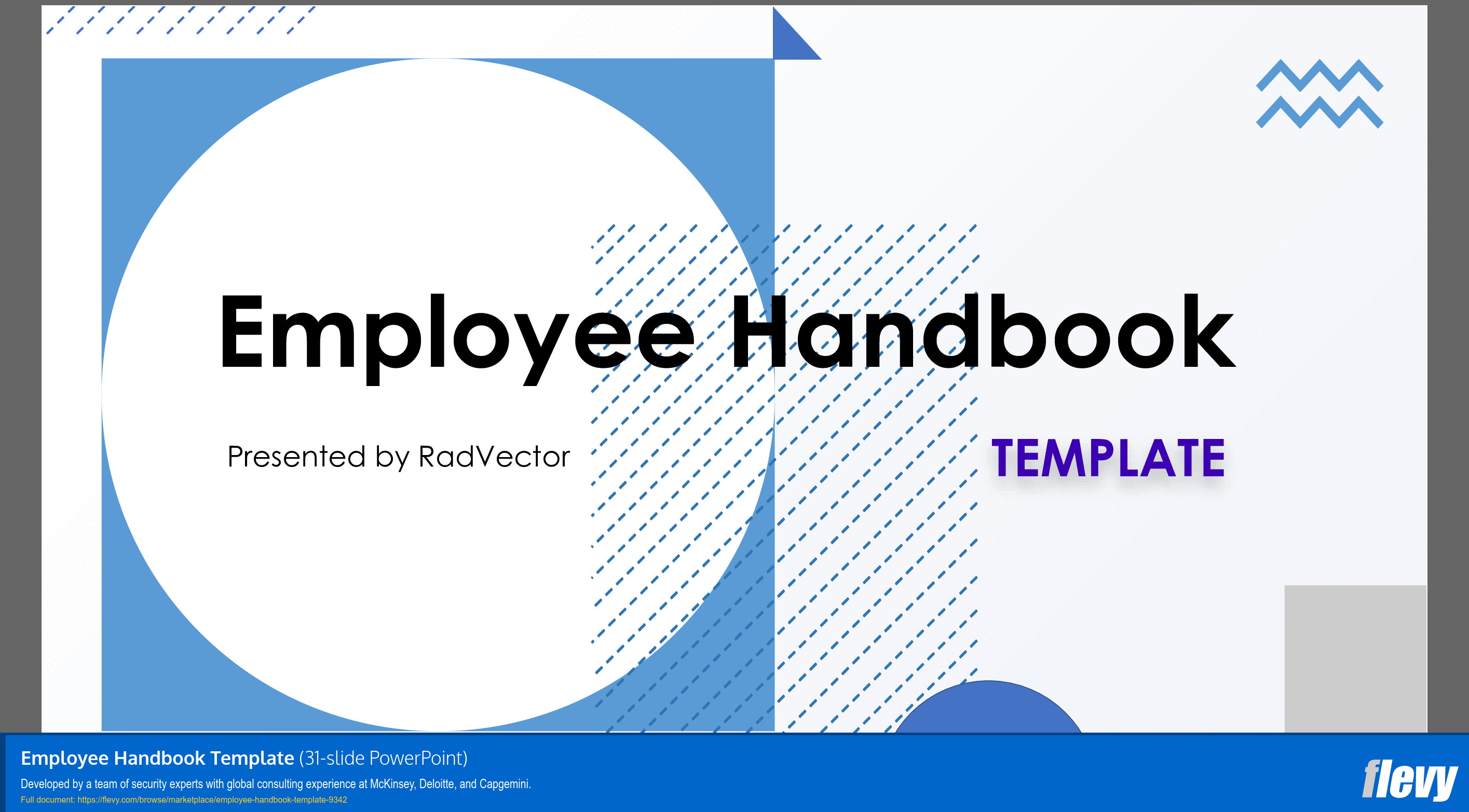 Employee Handbook Template (31-slide PPT PowerPoint presentation (PPTX)) Preview Image