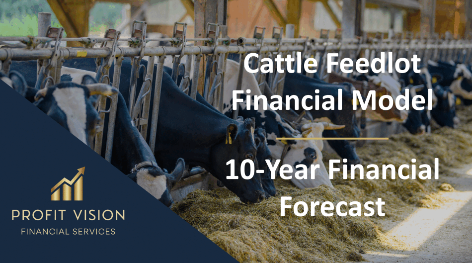 Cattle Feedlot – 10 Year Financial Model (Excel template (XLSX)) Preview Image