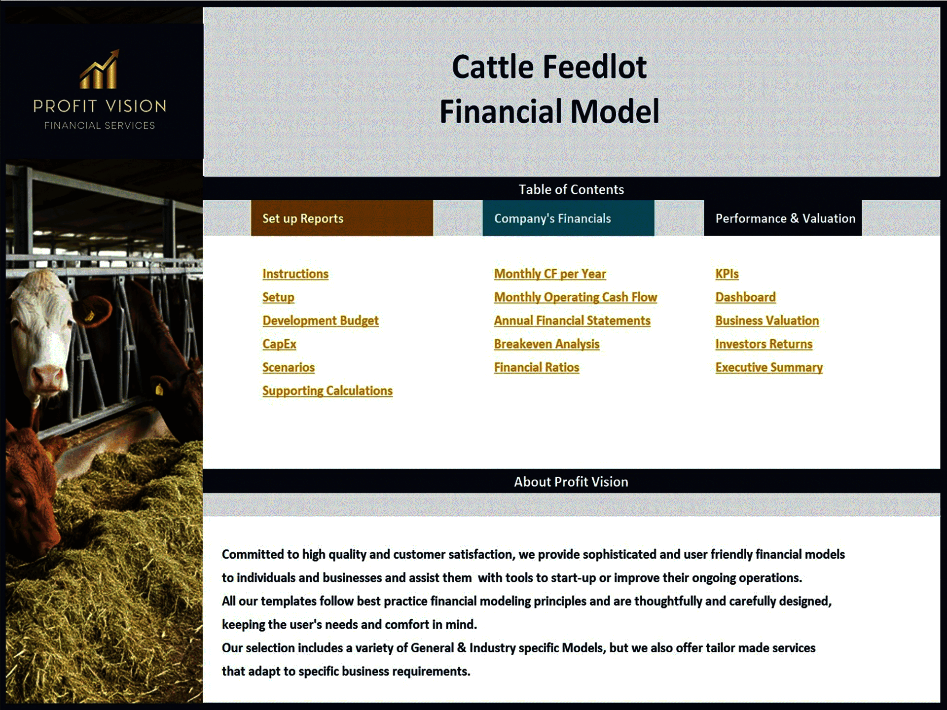 Cattle Feedlot – 10 Year Financial Model (Excel template (XLSX)) Preview Image