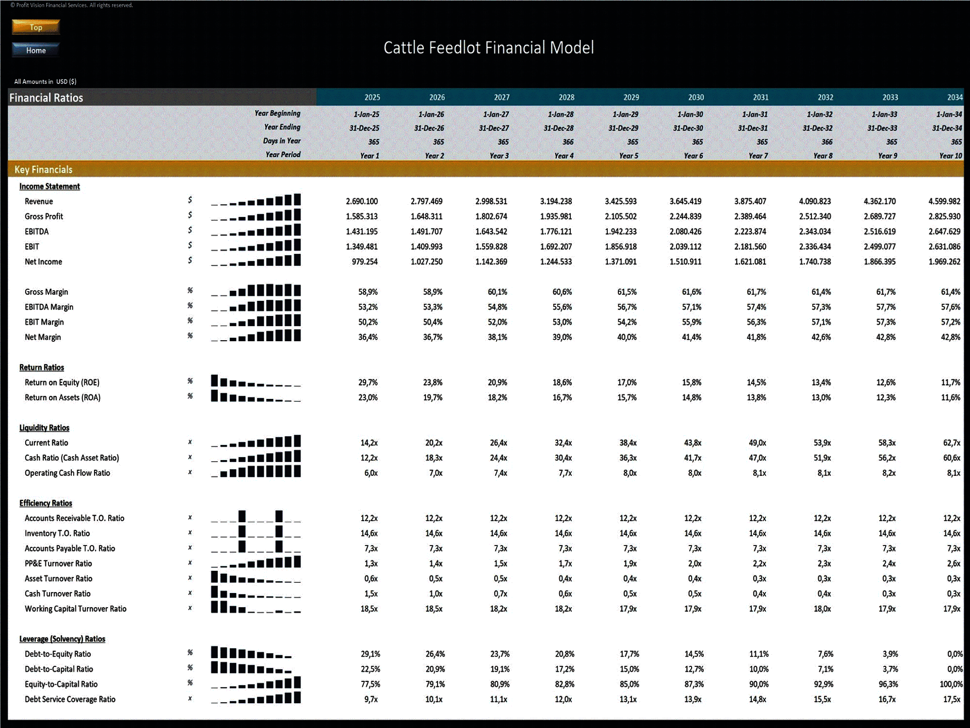 Cattle Feedlot – 10 Year Financial Model (Excel template (XLSX)) Preview Image