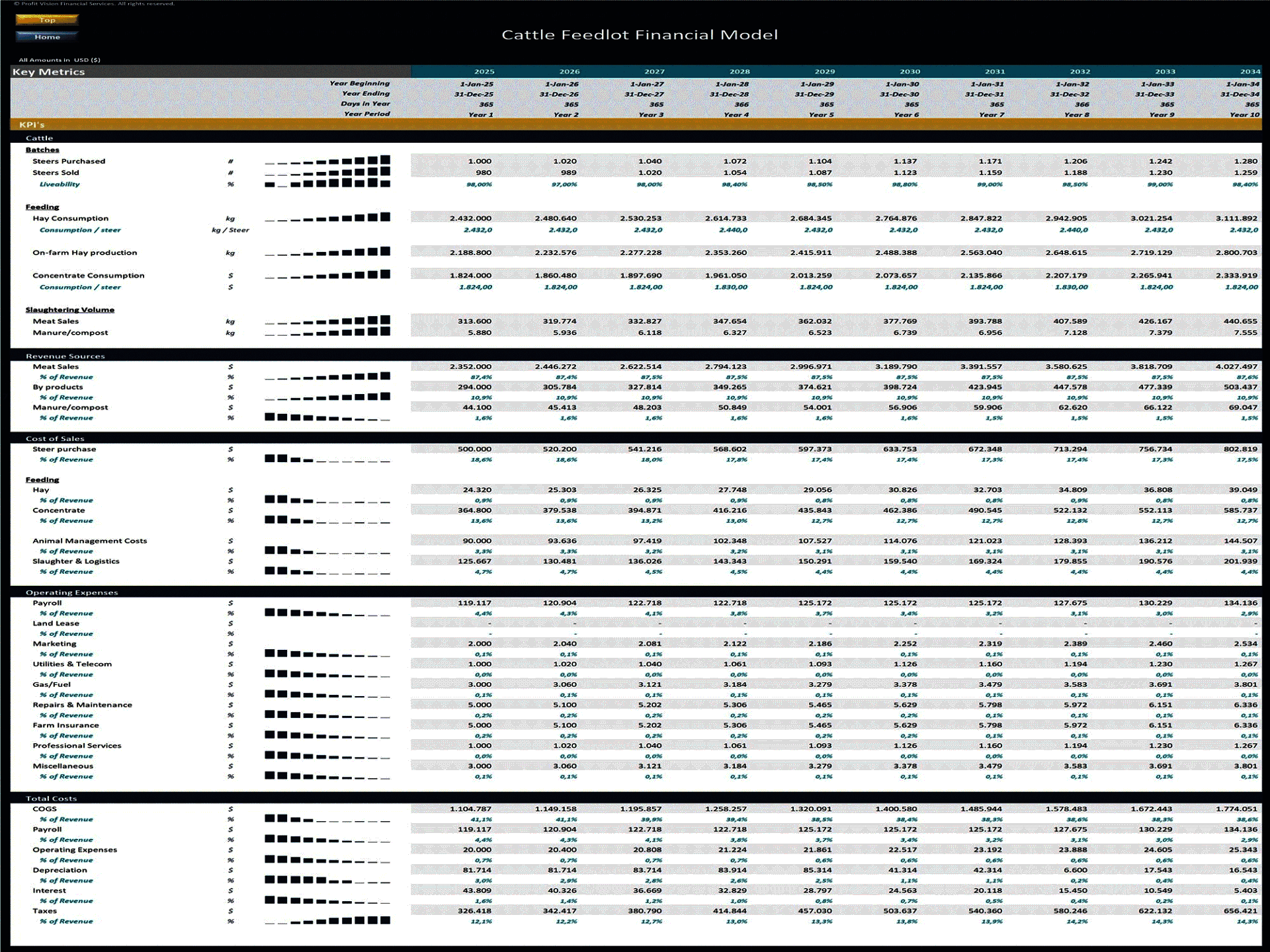 Cattle Feedlot – 10 Year Financial Model (Excel template (XLSX)) Preview Image