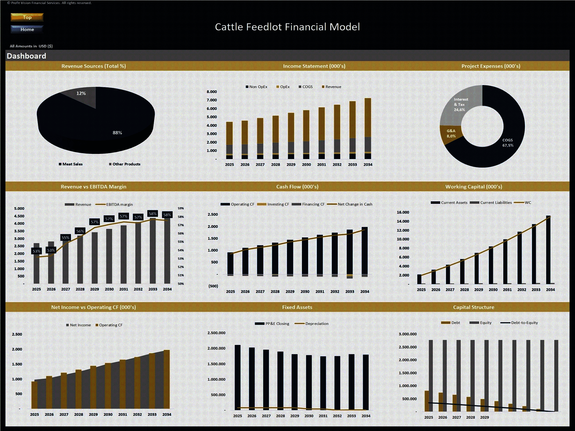 Cattle Feedlot – 10 Year Financial Model (Excel template (XLSX)) Preview Image