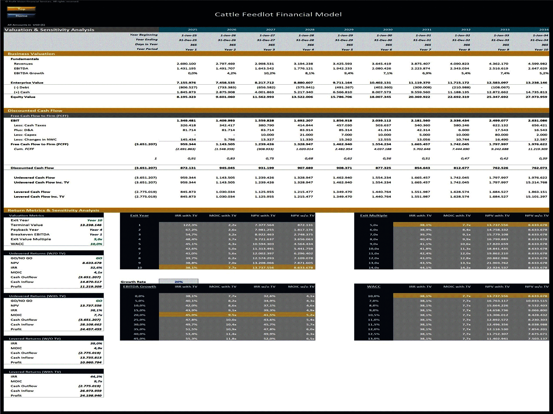 Cattle Feedlot – 10 Year Financial Model (Excel template (XLSX)) Preview Image