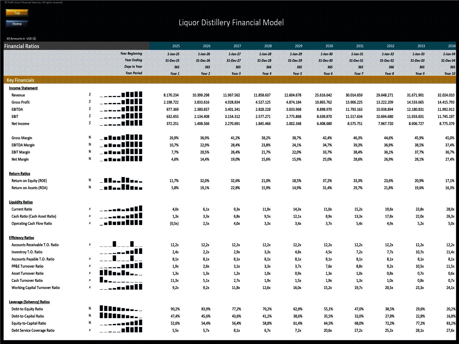 Liquor Distillery – 10 Year Financial Model (Excel template (XLSX)) Preview Image