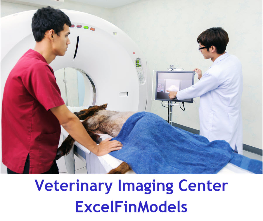 Veterinary Imaging Center Financial Model (Lite version) (Excel template (XLSX)) Preview Image