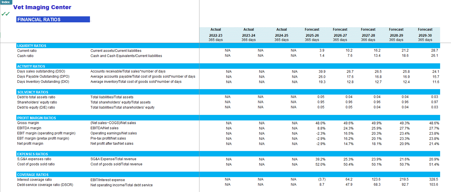 Veterinary Imaging Center Financial Model (Lite version) (Excel template (XLSX)) Preview Image