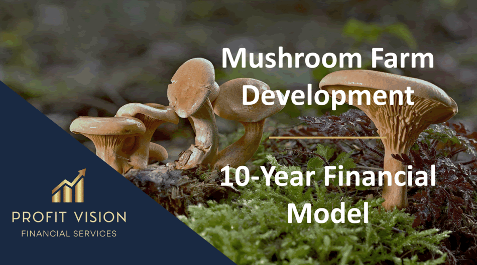 Mushroom Farm – 10 Year Financial Model (Excel template (XLSX)) Preview Image