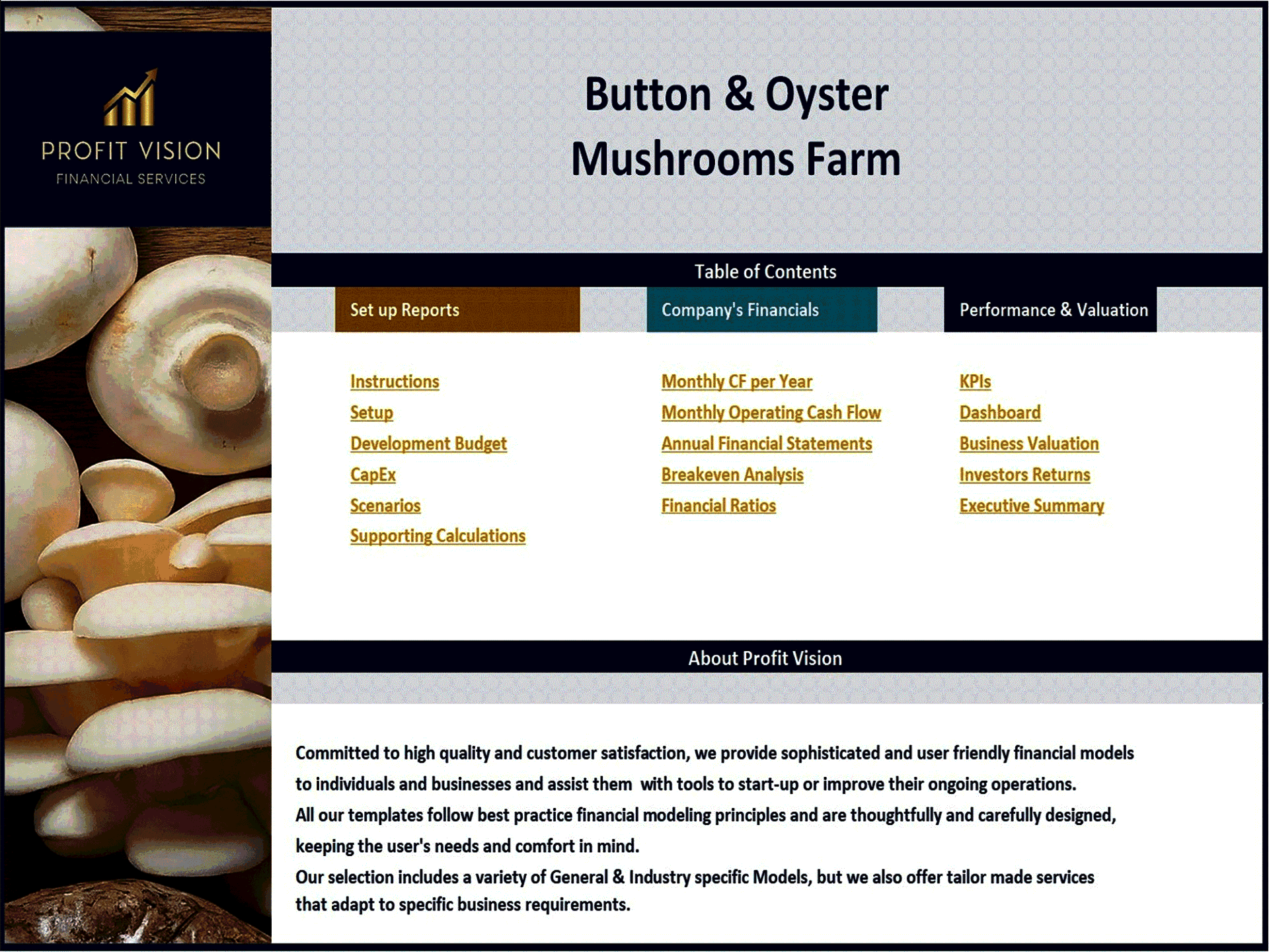 Mushroom Farm – 10 Year Financial Model (Excel template (XLSX)) Preview Image