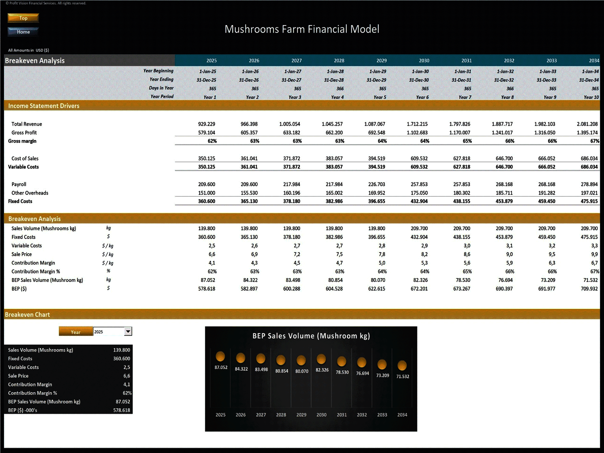 Mushroom Farm – 10 Year Financial Model (Excel template (XLSX)) Preview Image