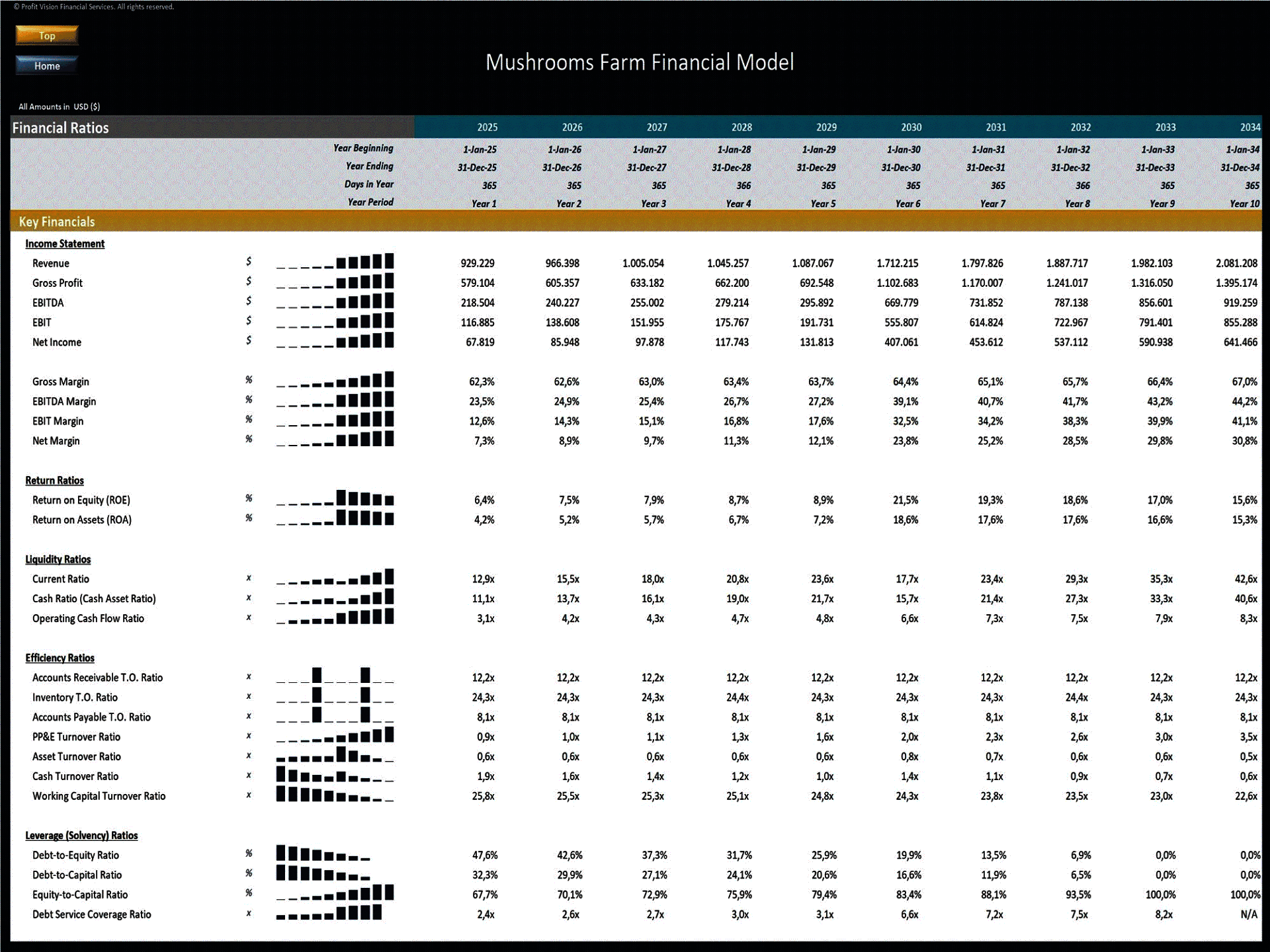 Mushroom Farm – 10 Year Financial Model (Excel template (XLSX)) Preview Image