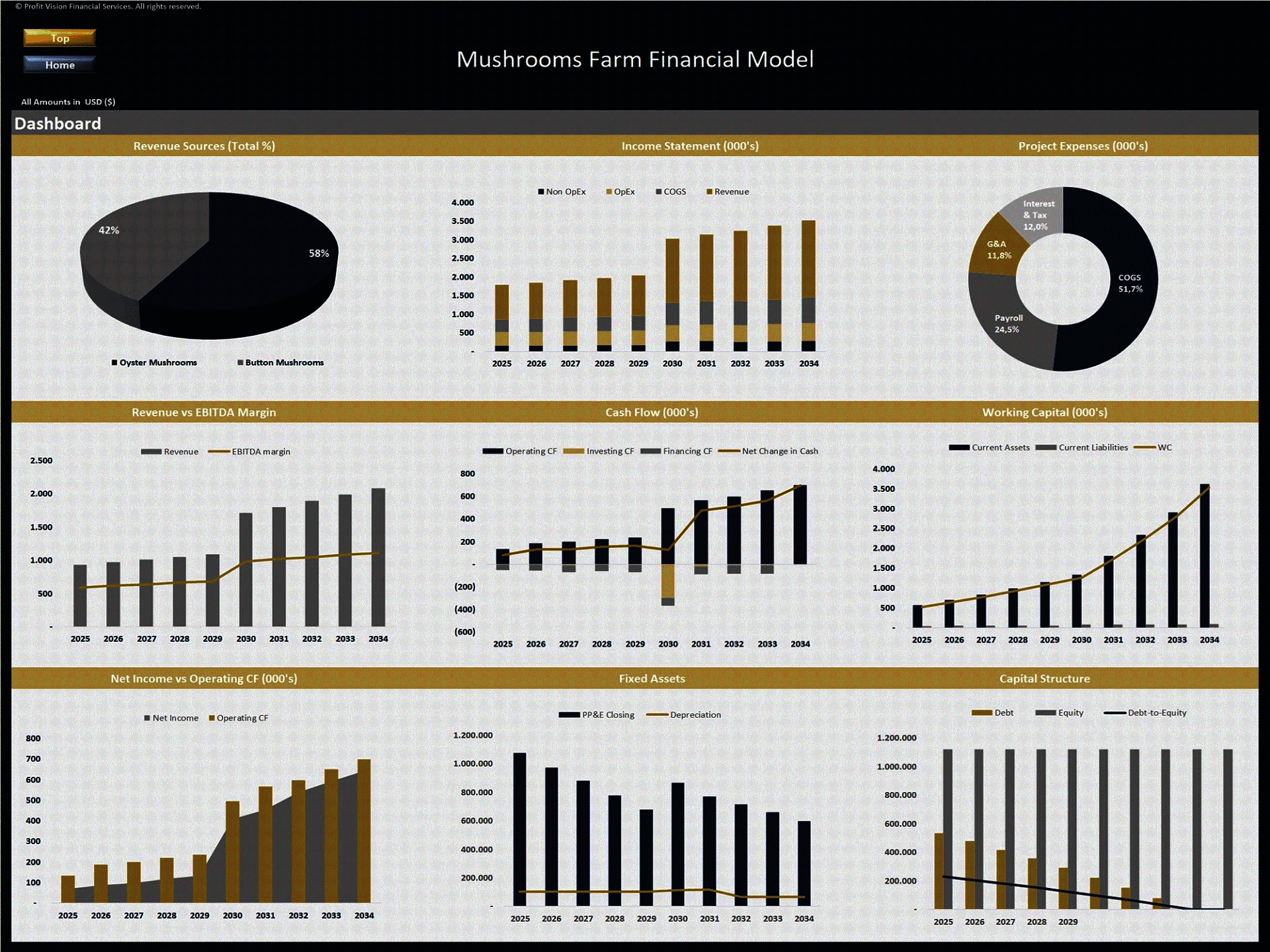 Mushroom Farm – 10 Year Financial Model (Excel template (XLSX)) Preview Image