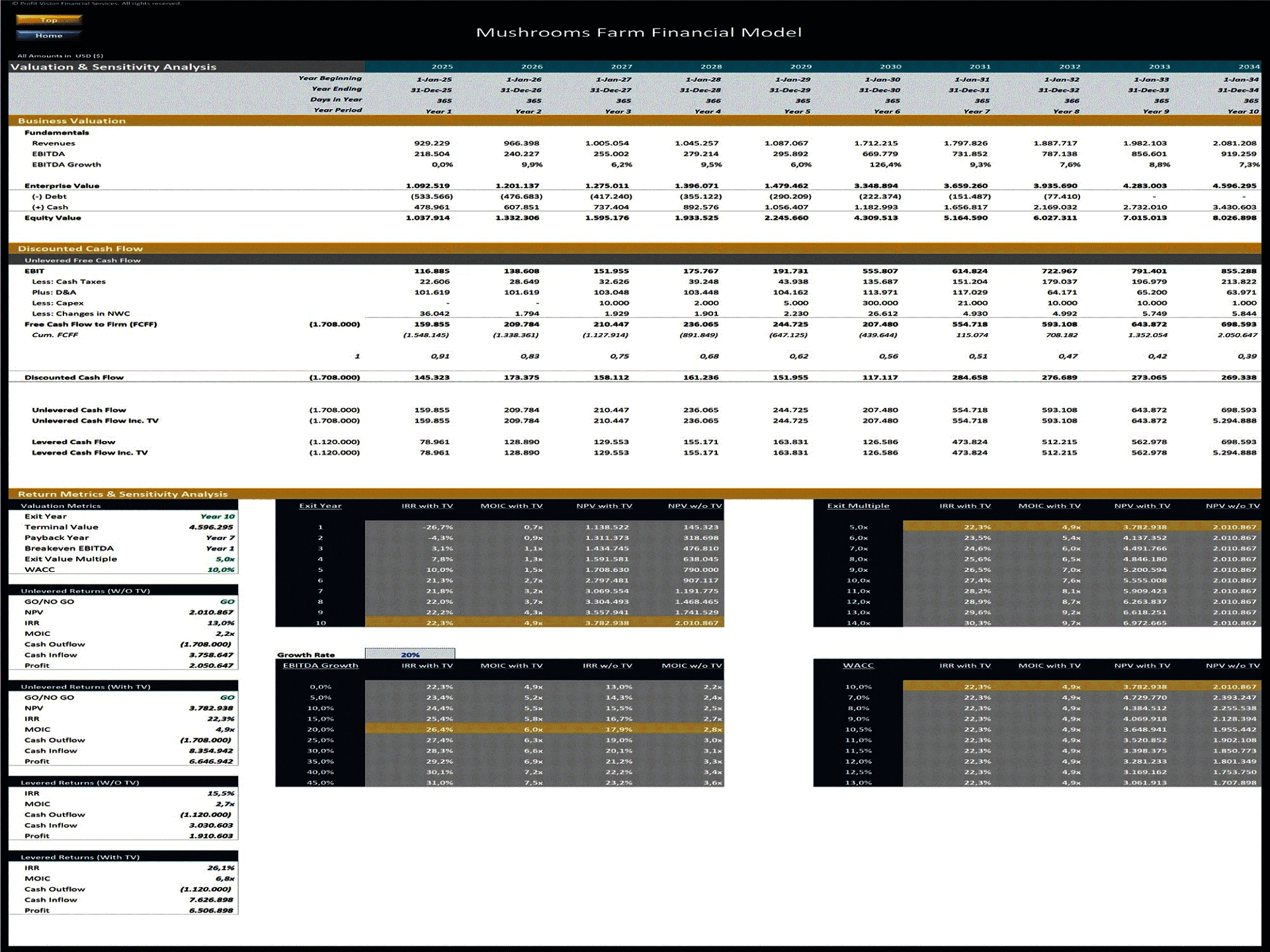 Mushroom Farm – 10 Year Financial Model (Excel template (XLSX)) Preview Image